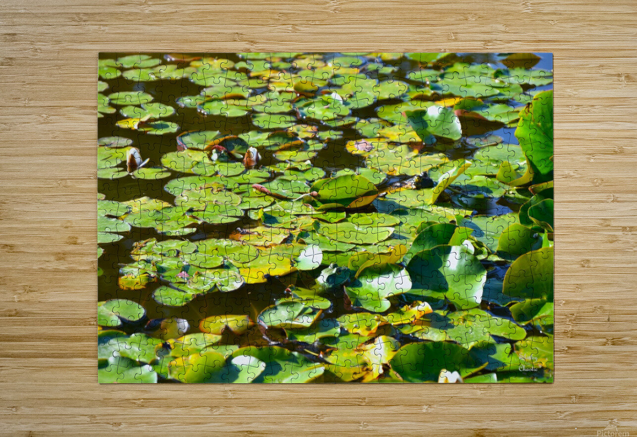 The 3 Amigos  Shirley Chaotic Puzzle printing