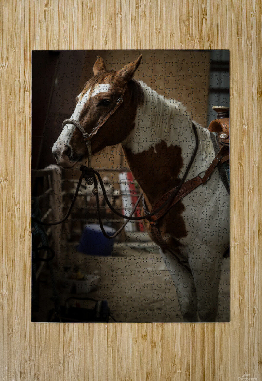 J64A9509 Espiphotography Puzzle printing