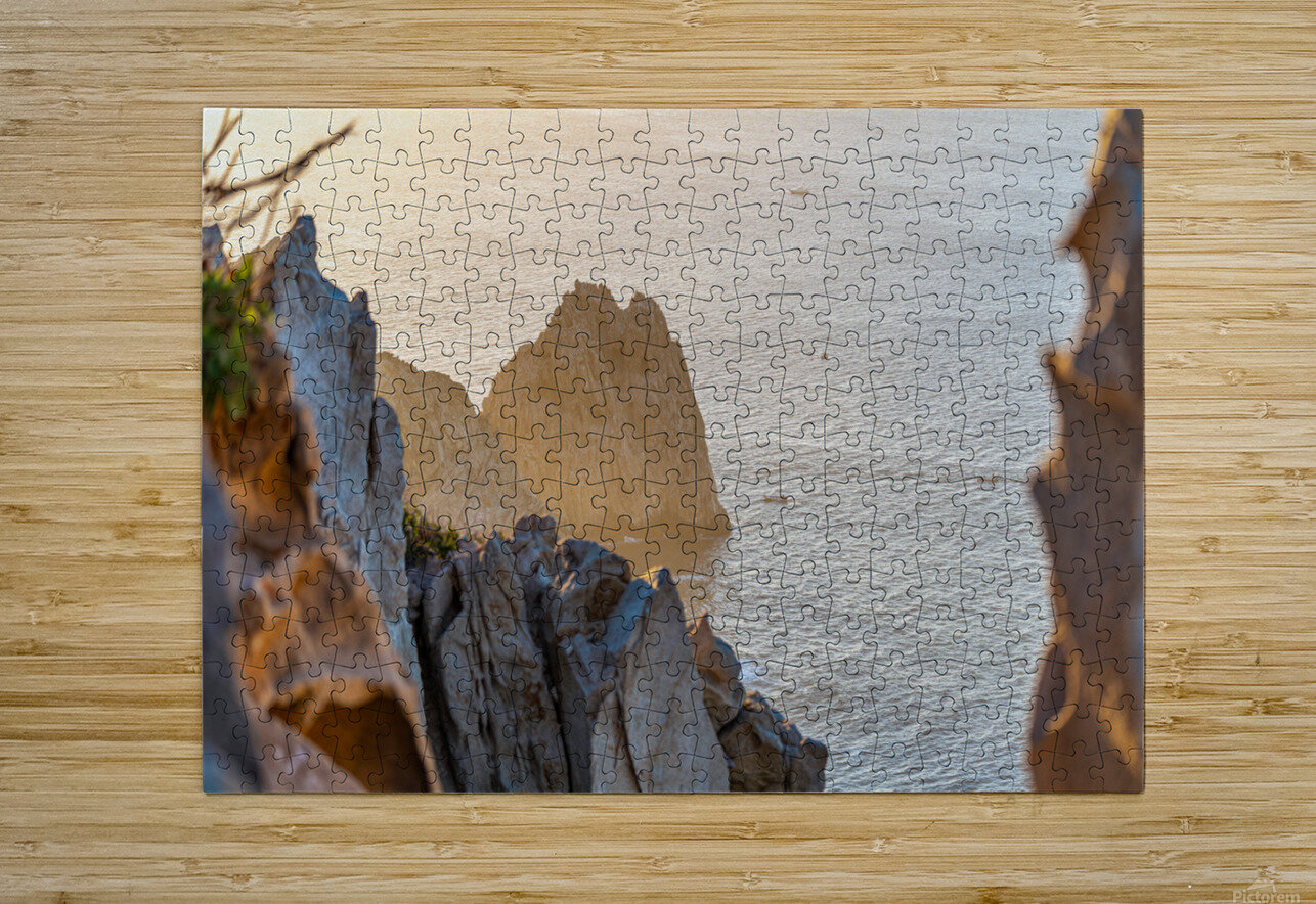 DSC02928 Luisa Torre Puzzle printing