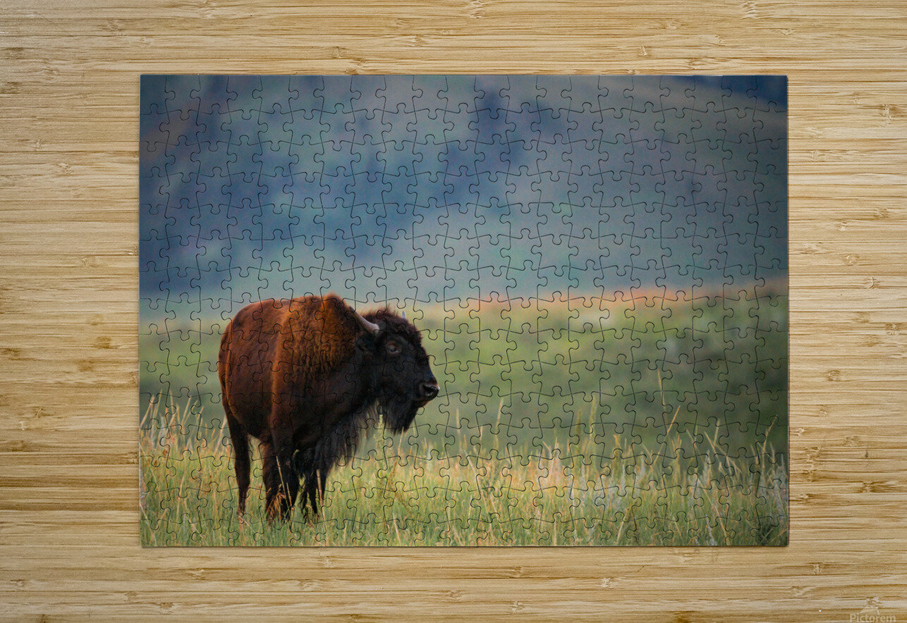 DSC00443 Enhanced SR Crow Peak Photography Puzzle printing