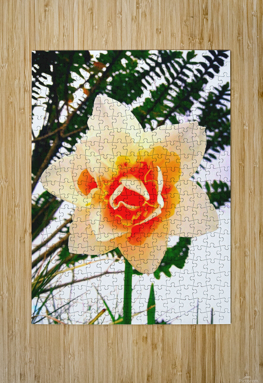 Orange&White Flower Eileen Photography Puzzle printing
