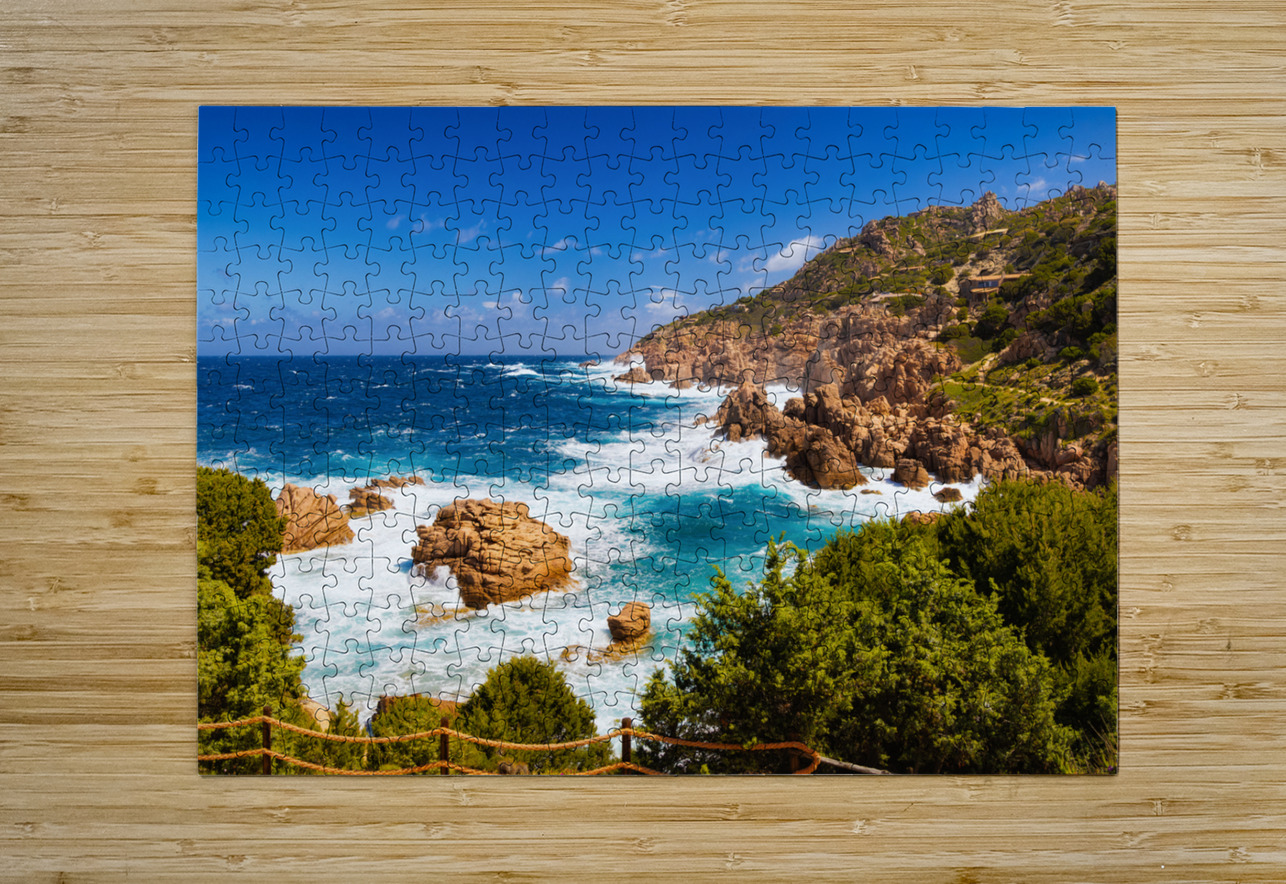 Wild Beauty - CR2405-0575-REA JordiCarrio Puzzle printing