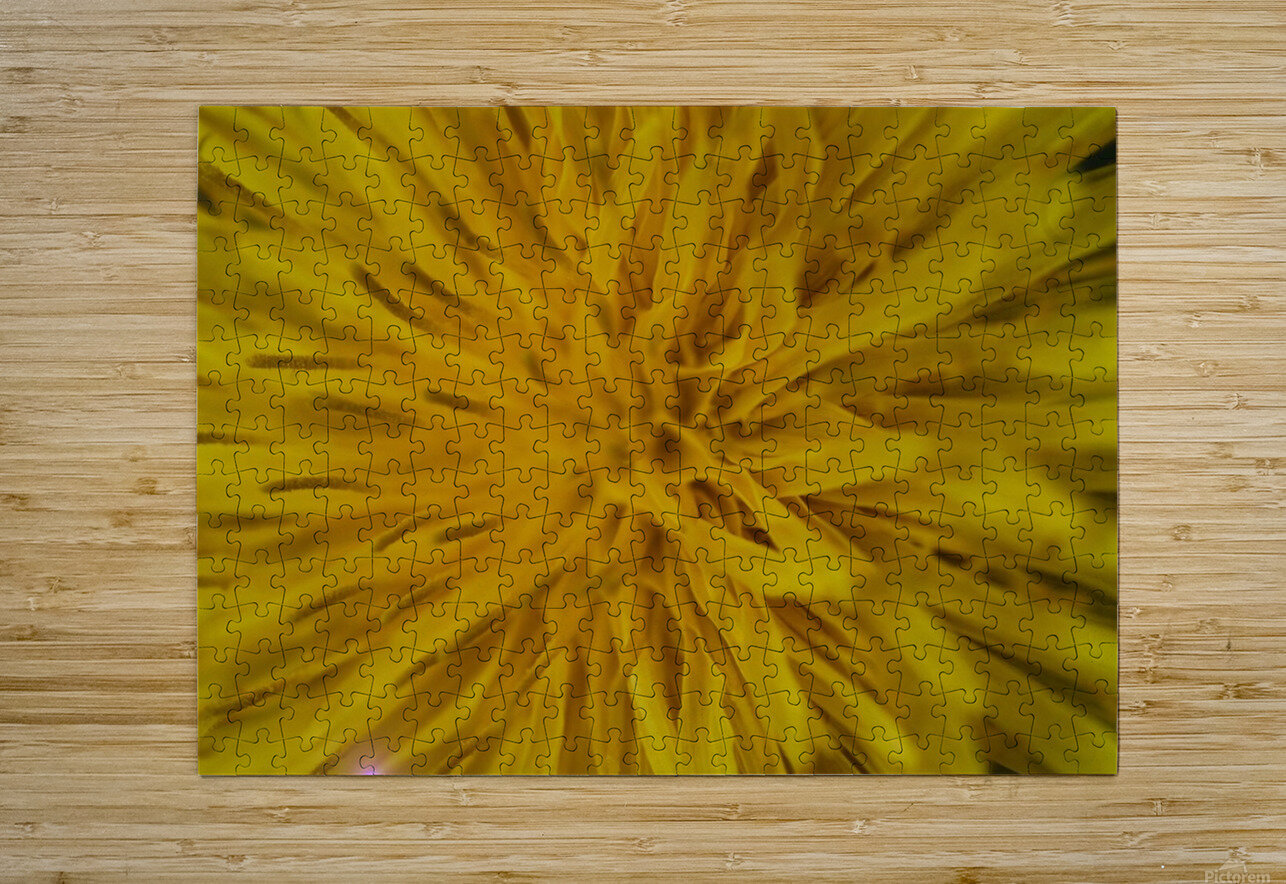  IGP1244 Doug VandeBurgt Puzzle printing