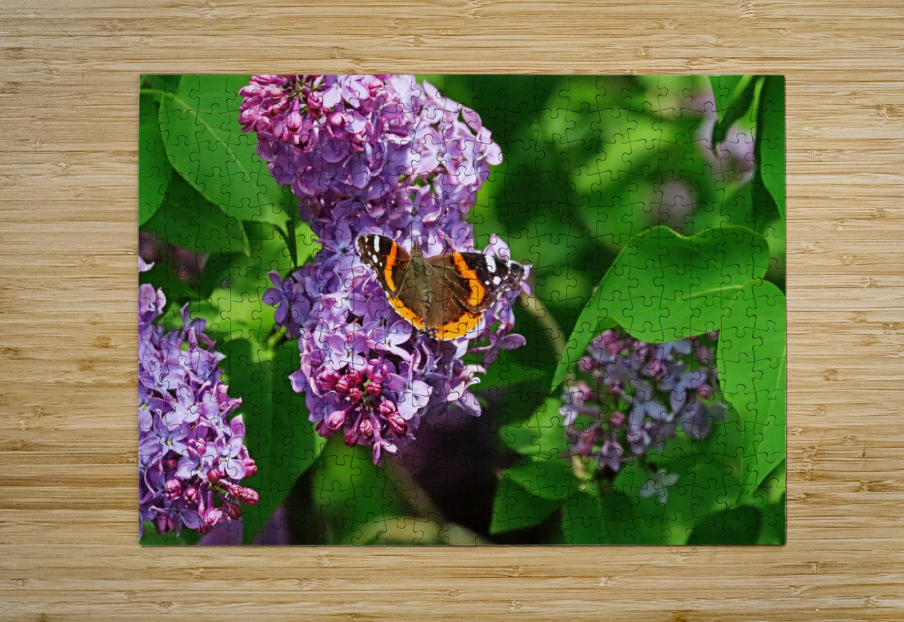 Red Admiral And Lilacs III Deb Oppermann Puzzle printing