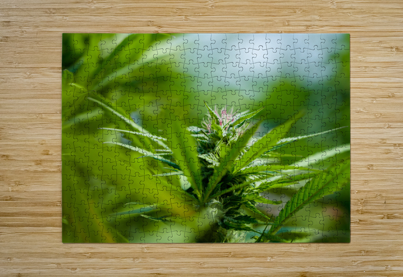 Ethereal Foliage Heather Marie Clark Puzzle printing