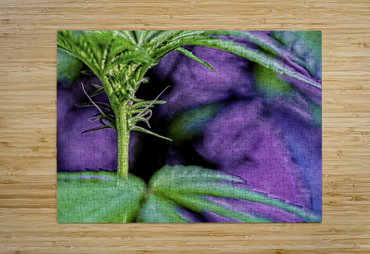 Young Female Marijuana  Flower Heather Marie Clark Puzzle printing