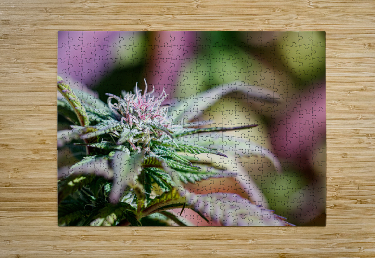 Pretty in Pink & Green Heather Marie Clark Puzzle printing