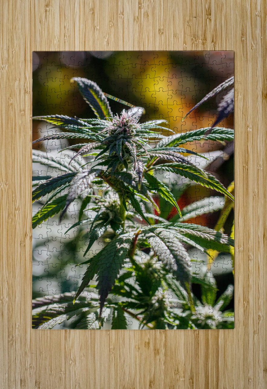 Vertical Portrait  Heather Marie Clark Puzzle printing