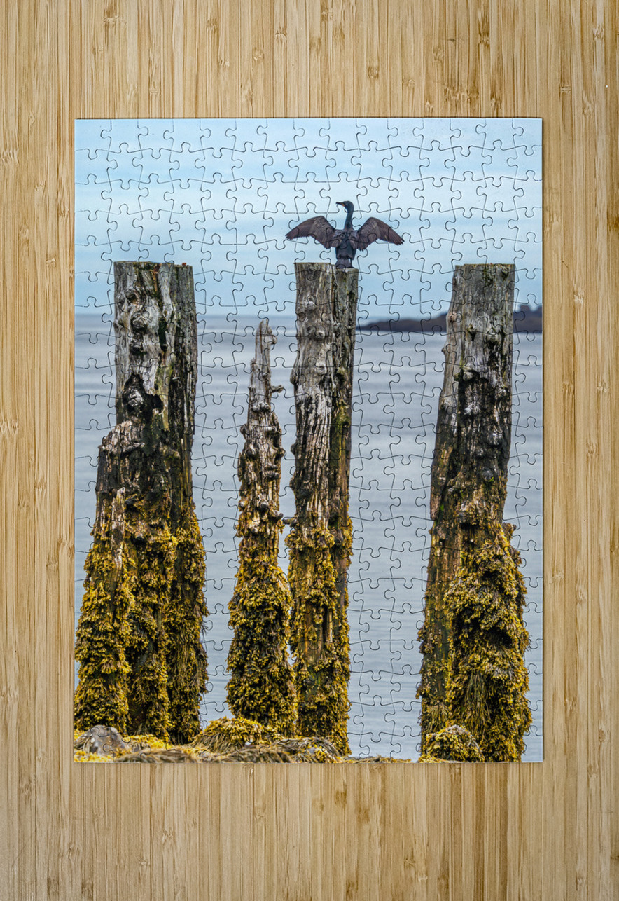 Air Drying Geoffrey Prior Puzzle printing