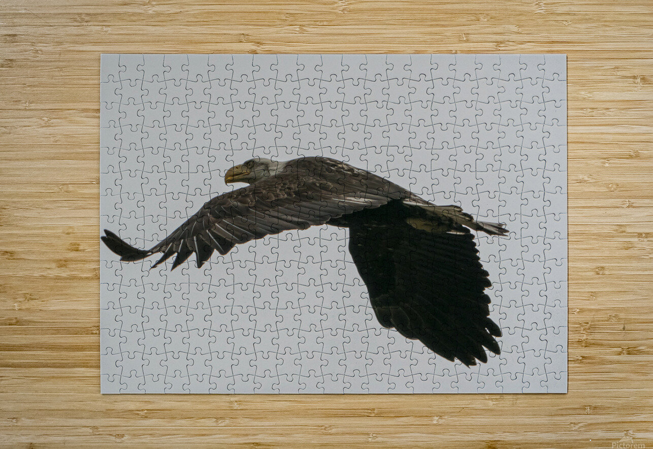 IMG 6945 Anthony Cummins Puzzle printing