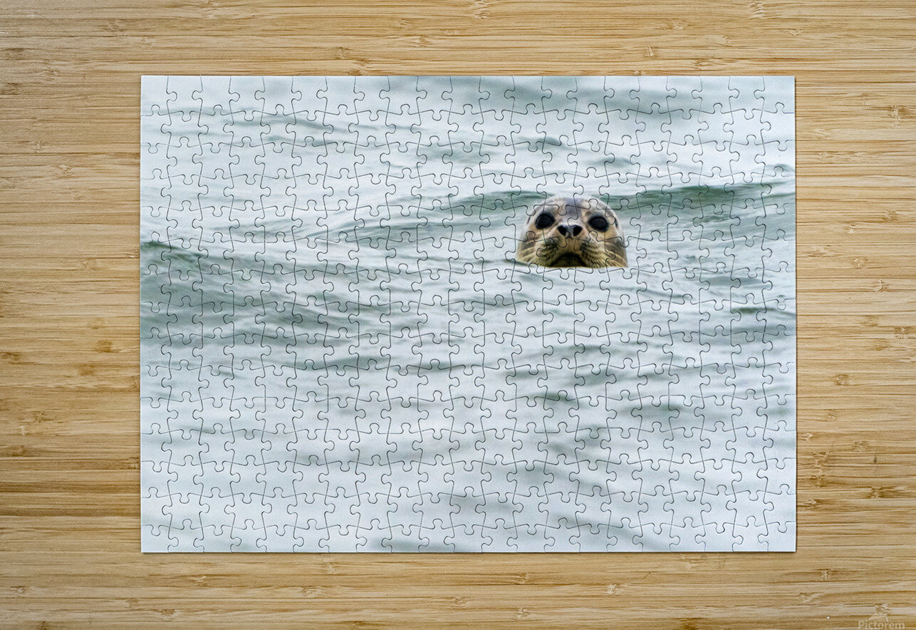 IMG 6949 Anthony Cummins Puzzle printing