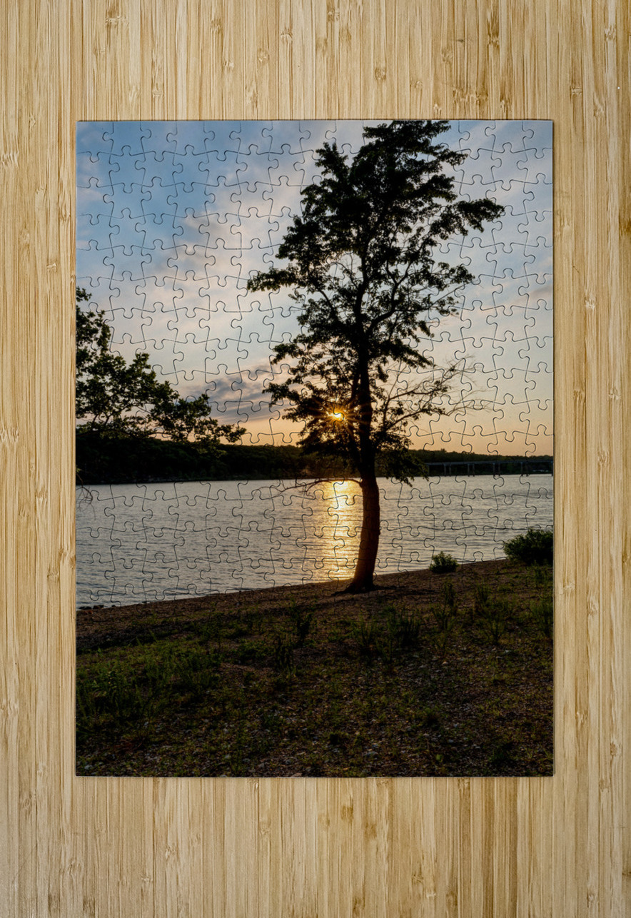 Curvy Tree Golden Sunset Jennifer White Puzzle printing