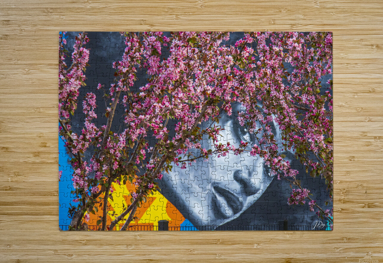 Blossoming...  Jeff Day Puzzle printing