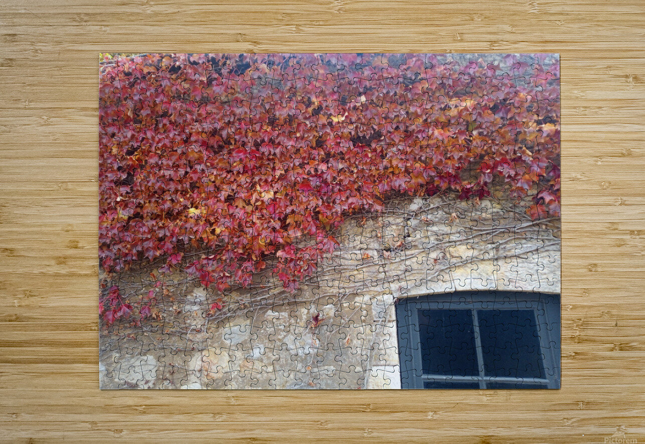 Vine Ivanka Jane WALKER Puzzle printing