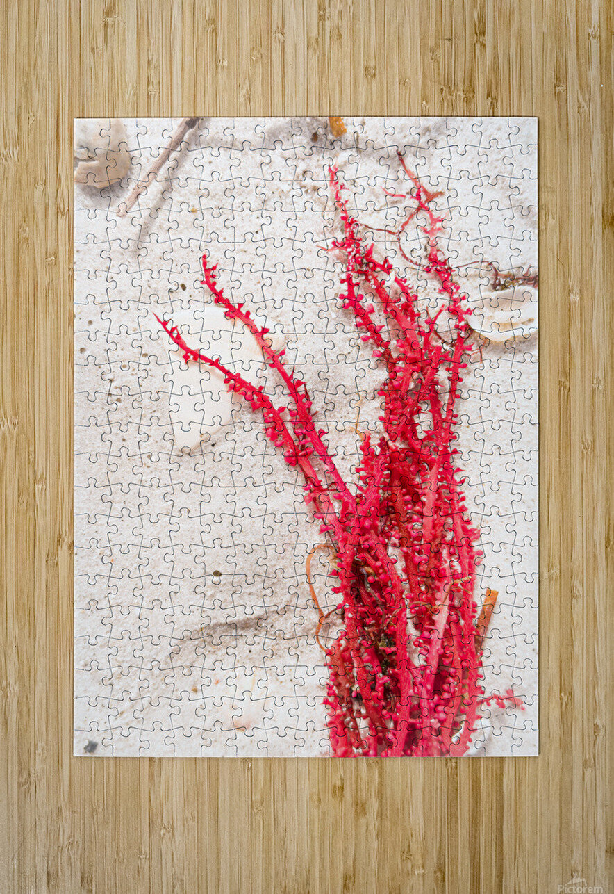 Naples Sand and Surf 30 Luxgaia Puzzle printing