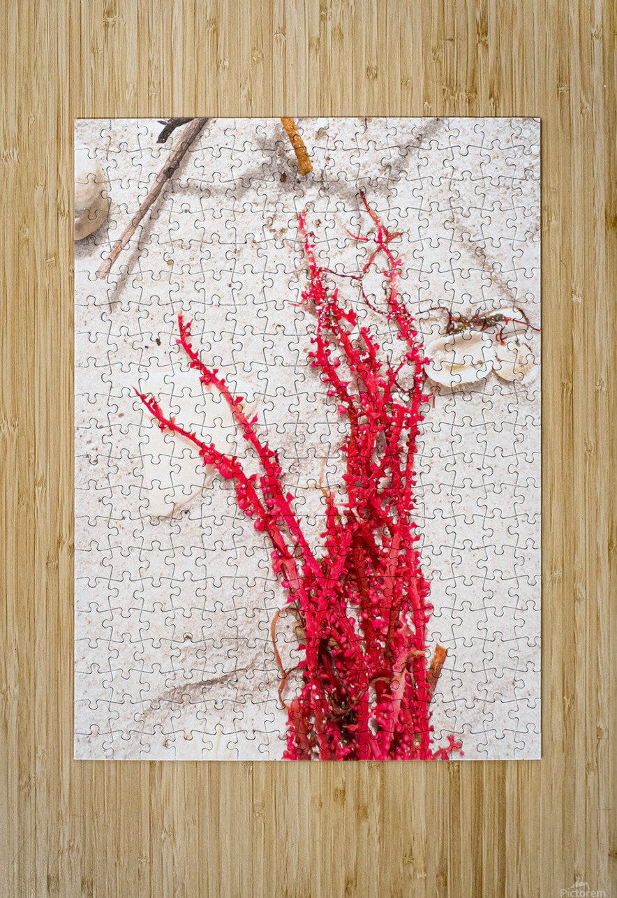 Naples Sand and Surf 33 Luxgaia Puzzle printing