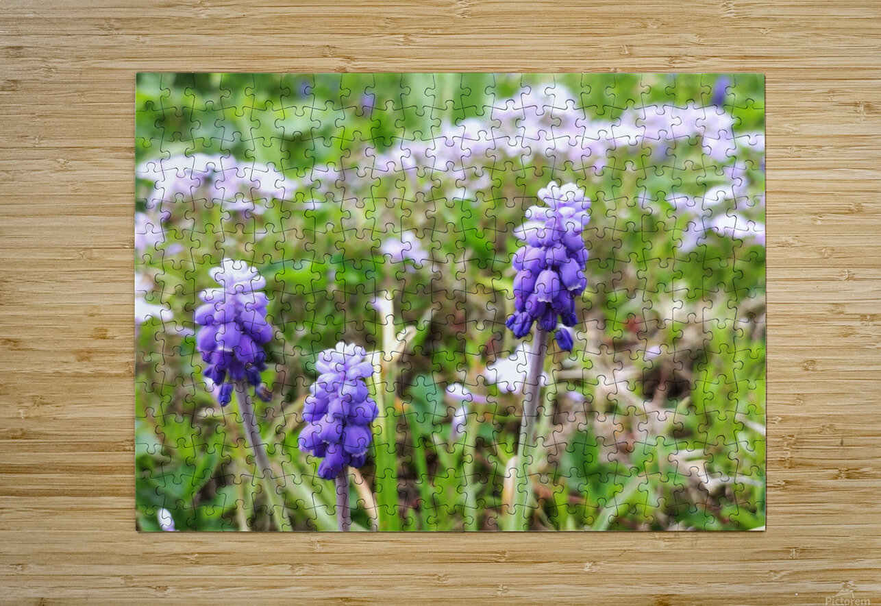 IMG 20240415 092828 Ana Duhne Puzzle printing