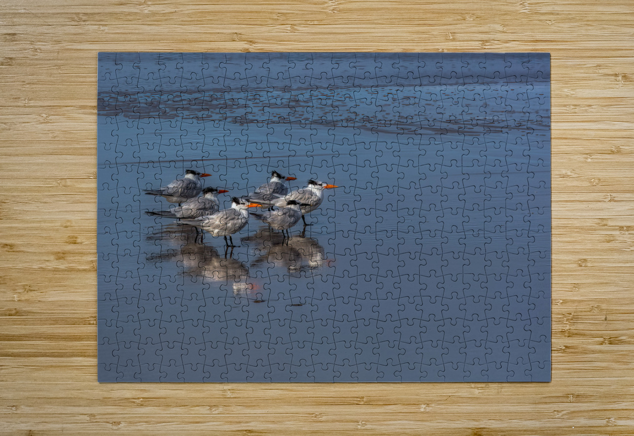 BIR 02193 John Walborn Promenade Photos Puzzle printing