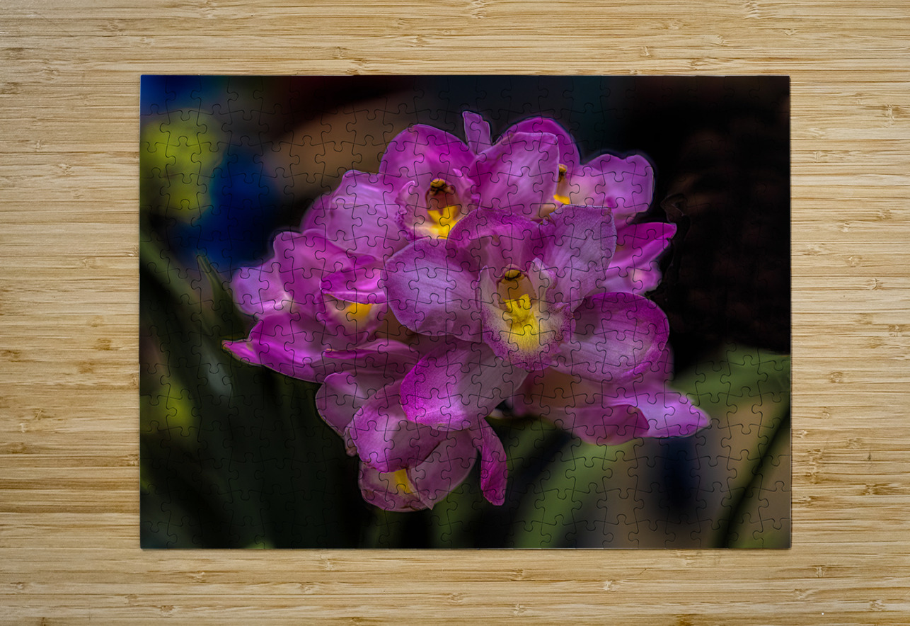 FLO 02267 John Walborn Promenade Photos Puzzle printing