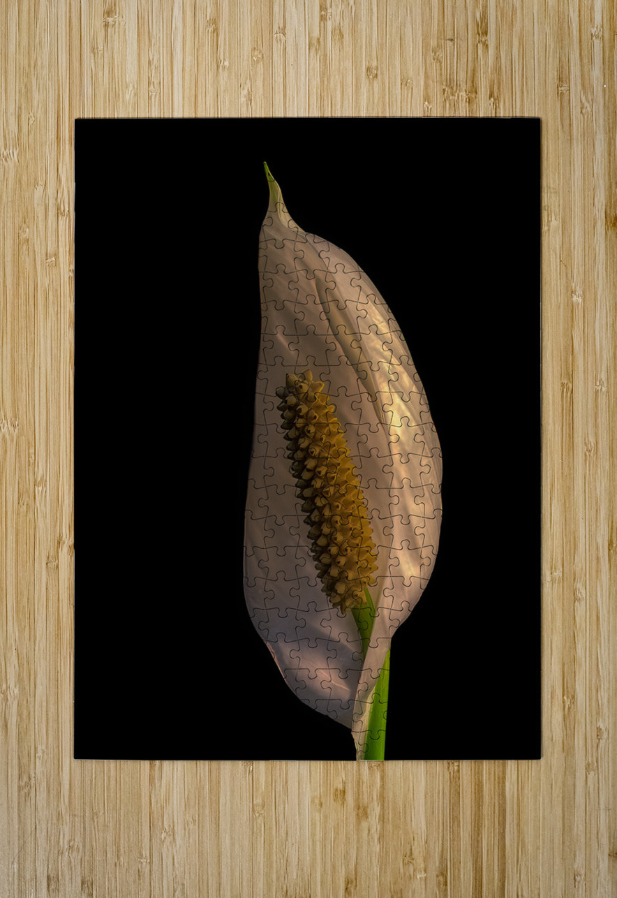 FLO 02218 John Walborn Promenade Photos Puzzle printing