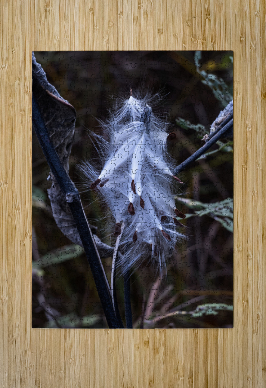 FLO 02312 John Walborn Promenade Photos Puzzle printing