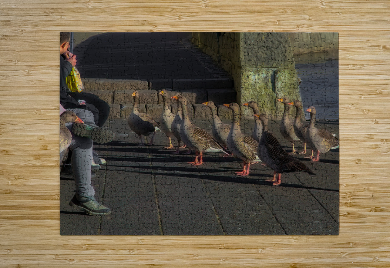 MIS 02144 John Walborn Promenade Photos Puzzle printing