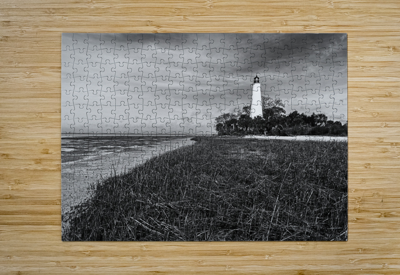 Low Tide at St. Marks Lighthouse Andy Crawford Puzzle printing