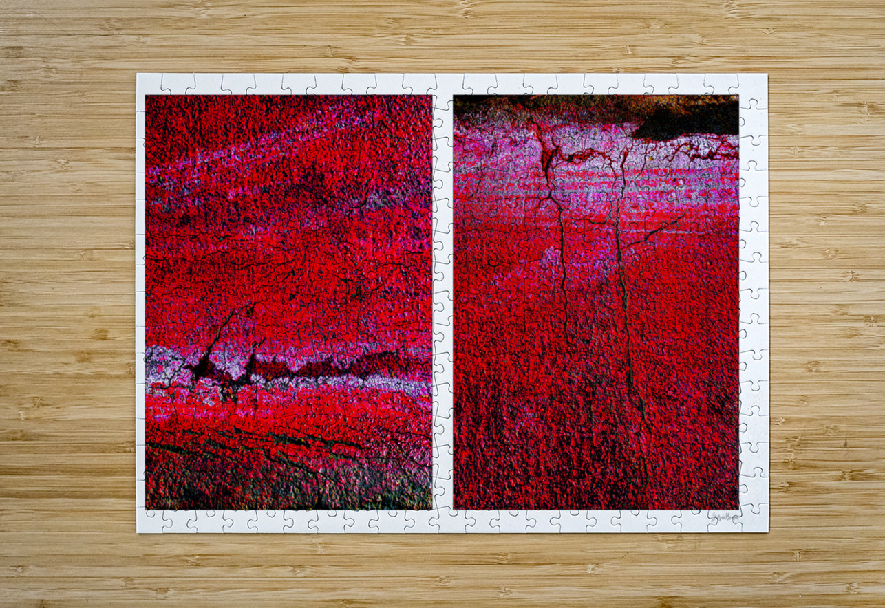 Seeing Red 02 Susan Bowen Puzzle printing