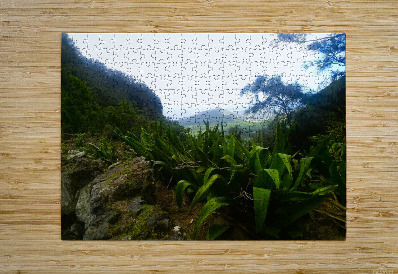 Hawaii 4 Susan Cook Puzzle printing