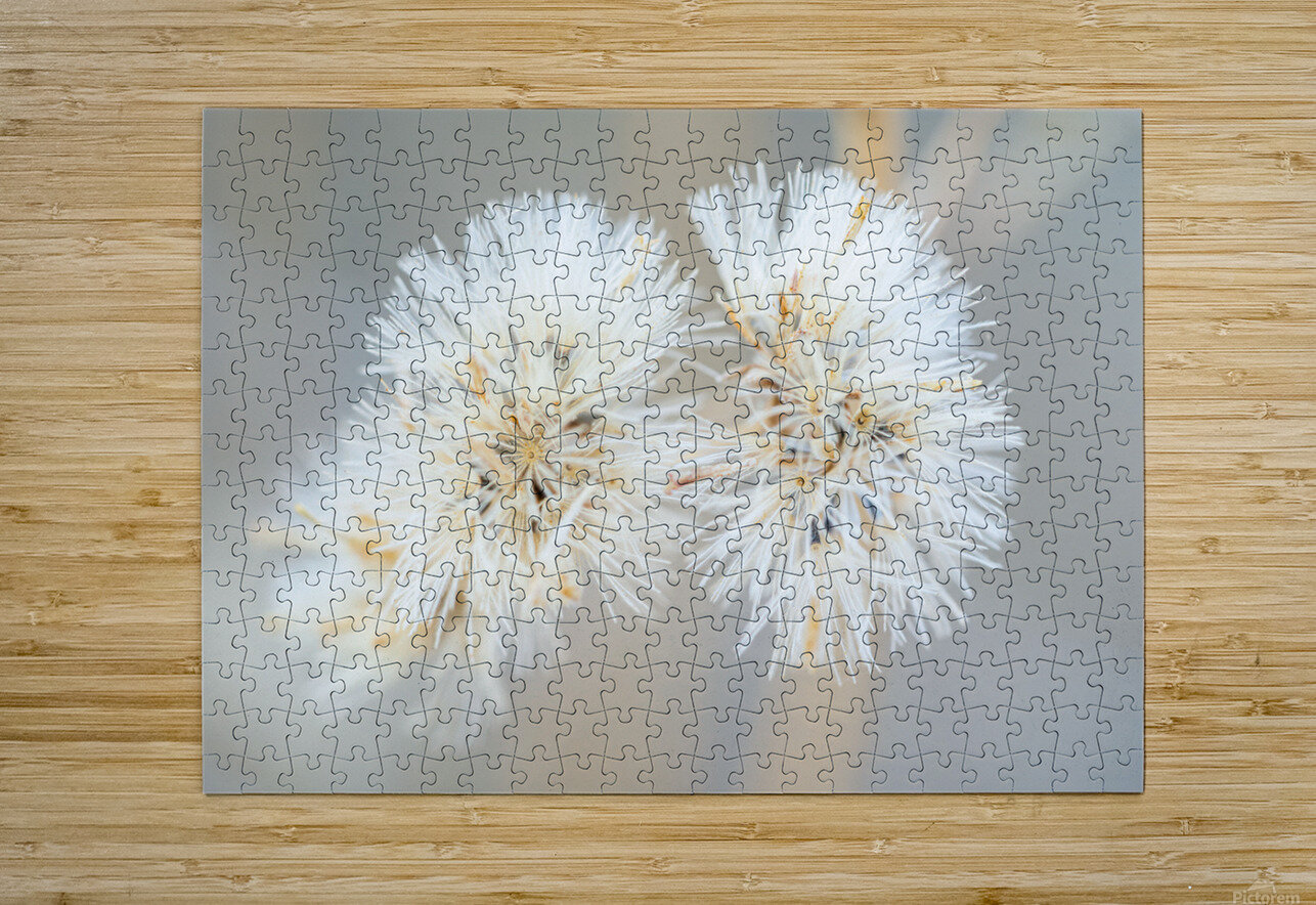 DSC03431 Luisa Torre Puzzle printing