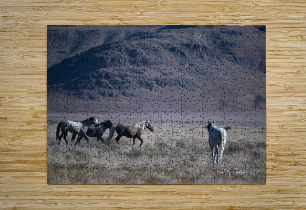 BZ9 5406 Enhanced NR Susan Lynn Cooke Puzzle printing