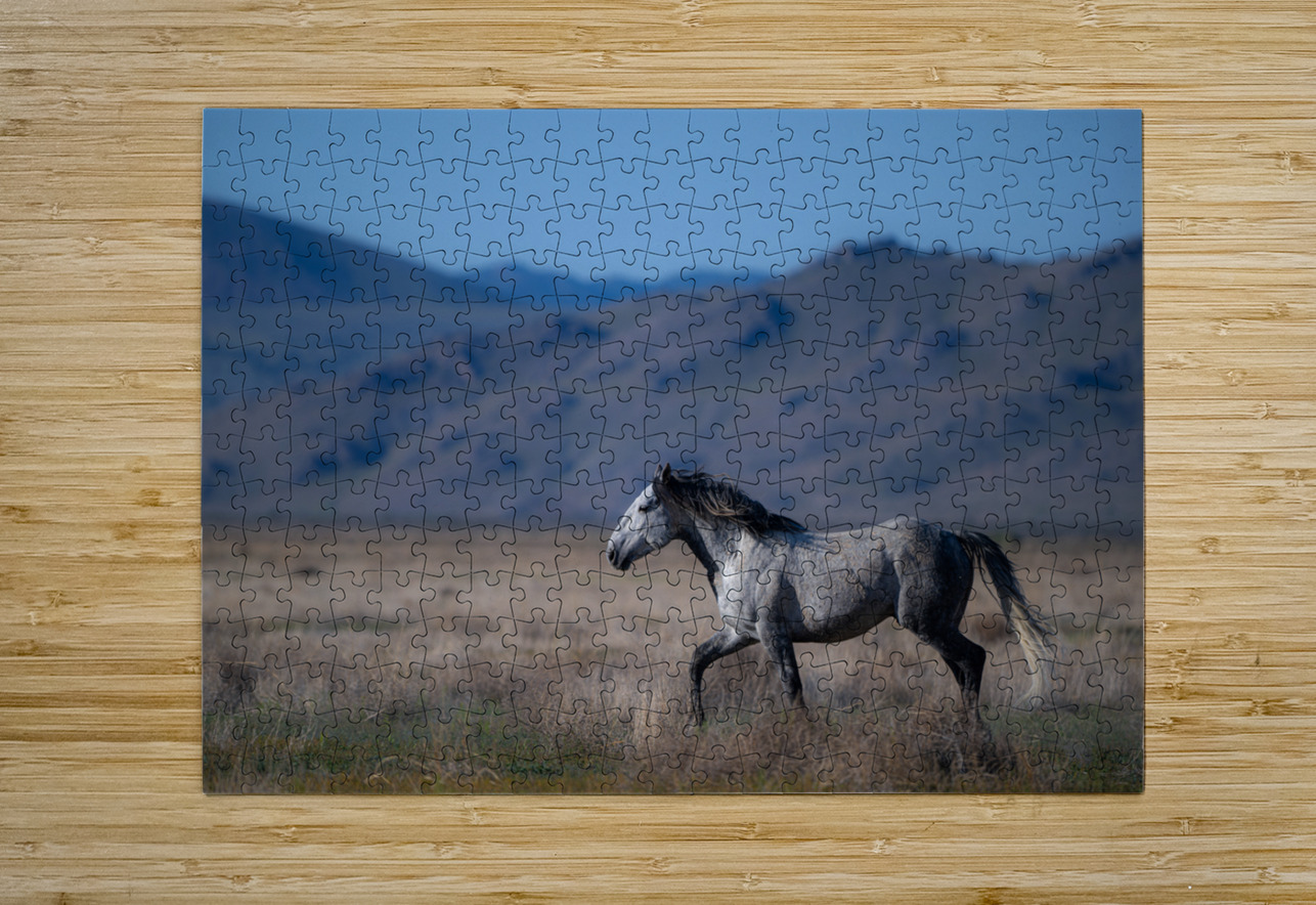 BZ9 4323 Enhanced NR Susan Lynn Cooke Puzzle printing