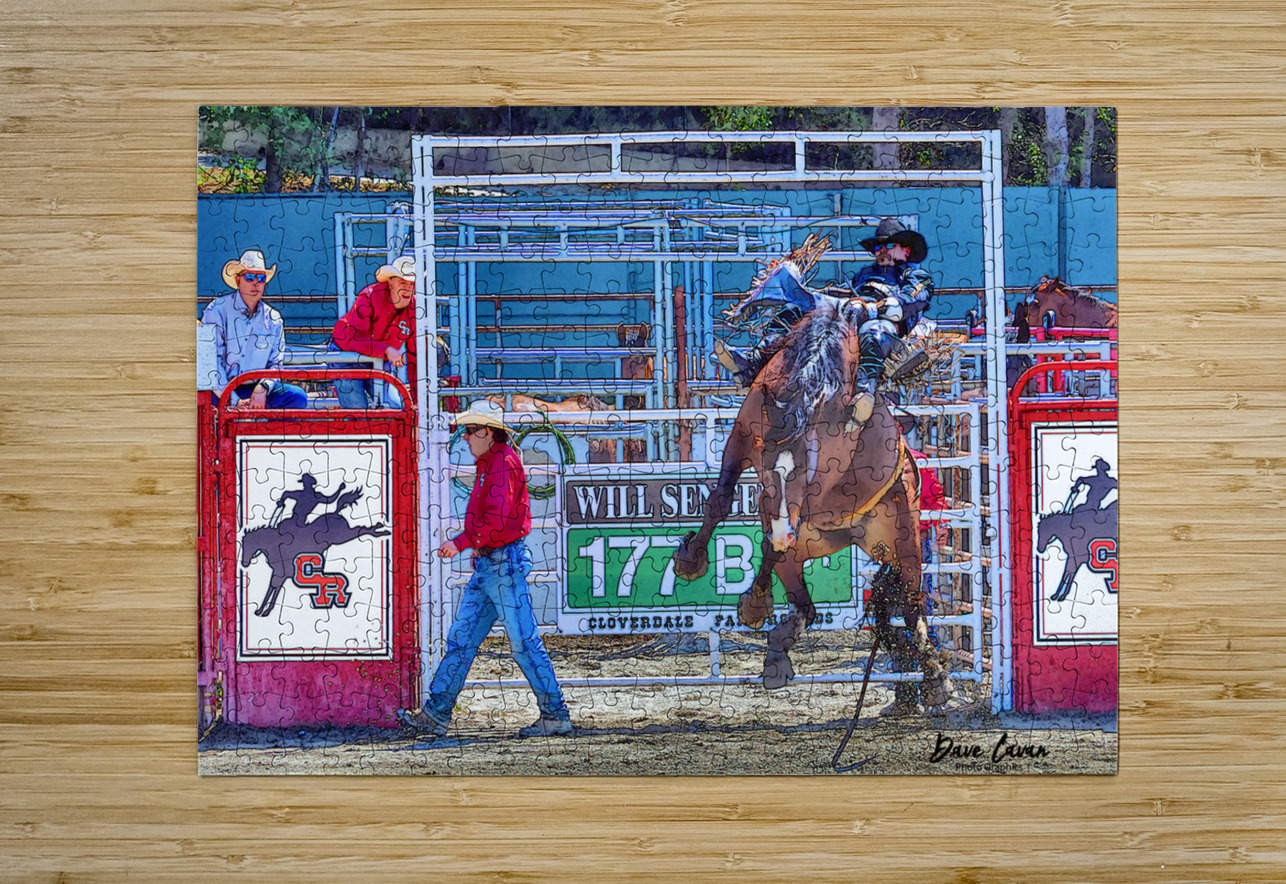 8 Seconds to Success Dave Cavan Photo Graphics Puzzle printing