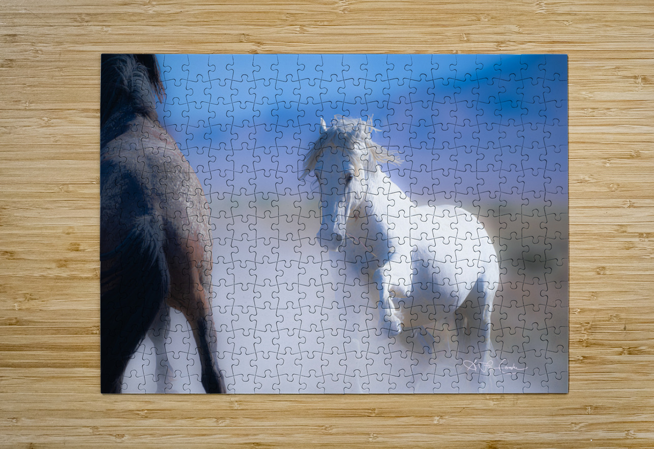 BZ9 9220 Enhanced NR Susan Lynn Cooke Puzzle printing