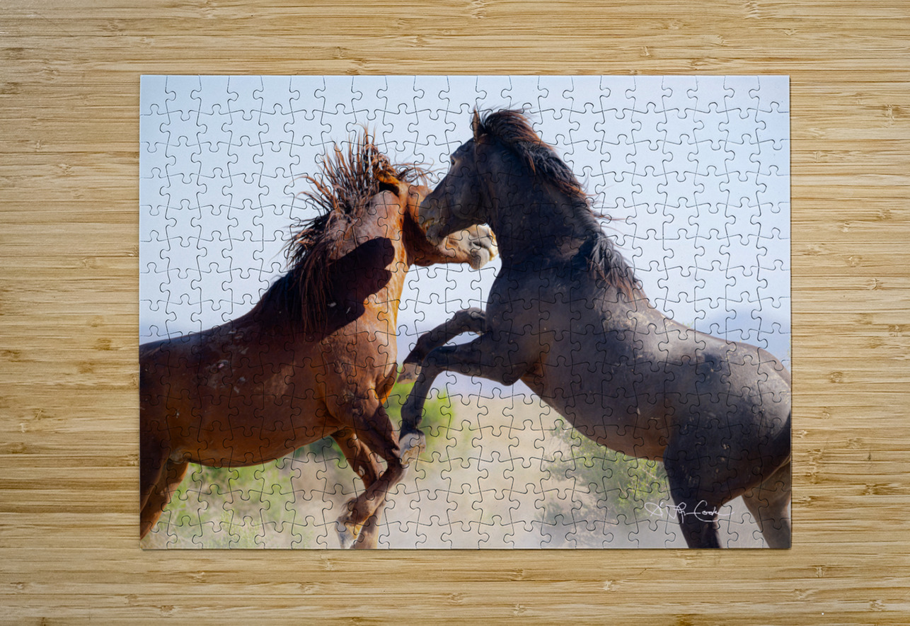 BZ9 0026 Enhanced NR 2 Susan Lynn Cooke Puzzle printing