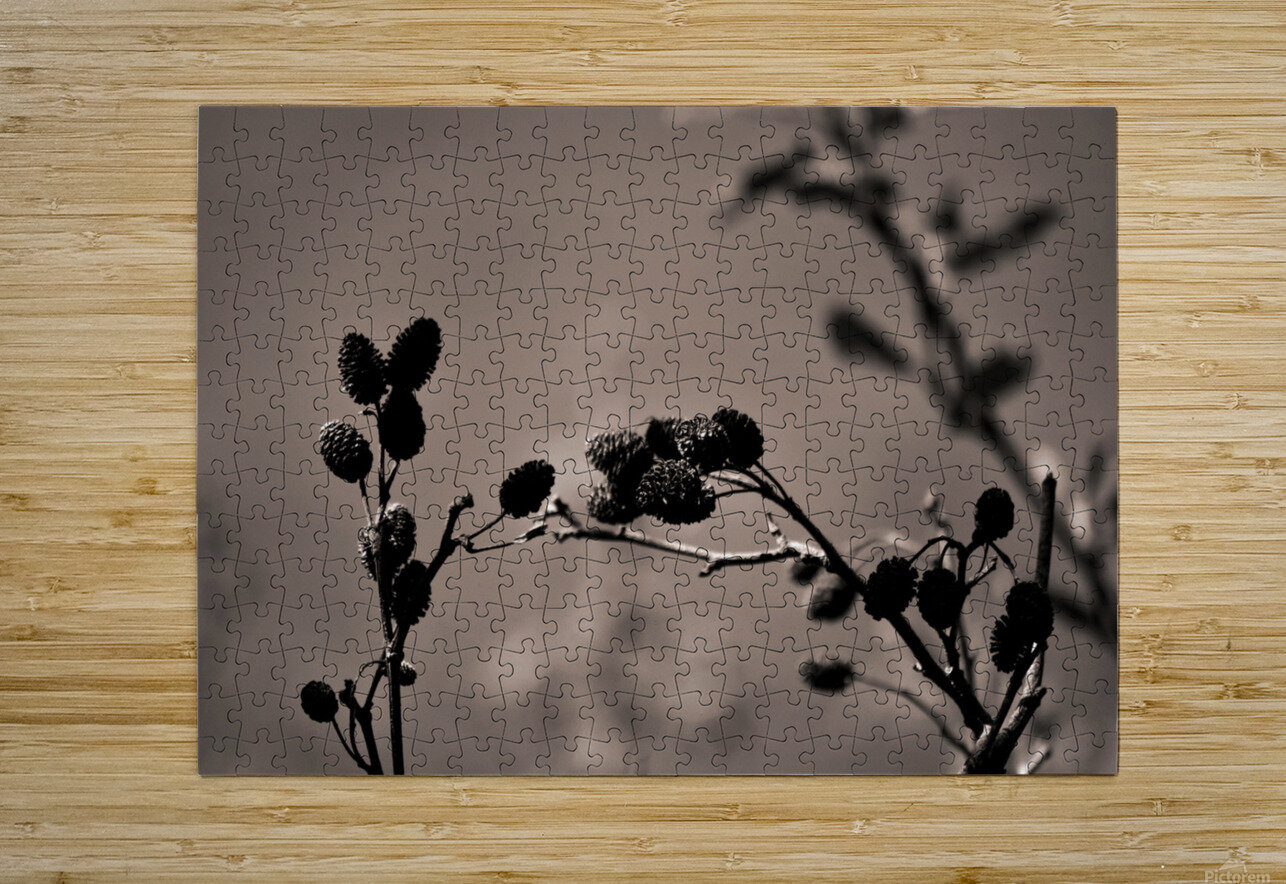 Shape study Axl s Photobooth Puzzle printing