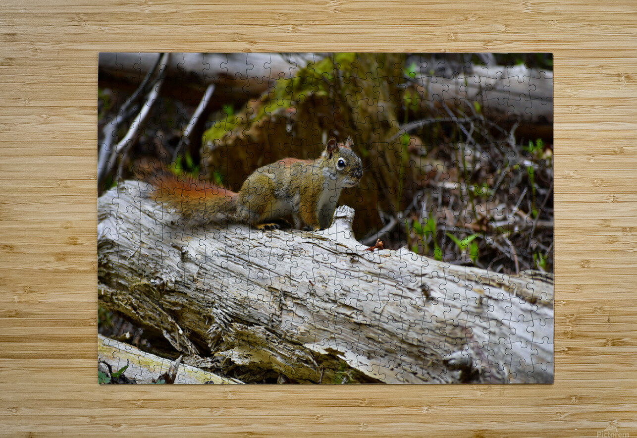 Chippin  in Axl s Photobooth Puzzle printing