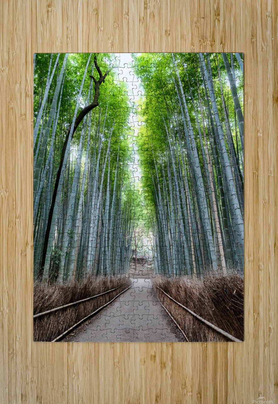 Bamboo Forest Dekel Bar Puzzle printing