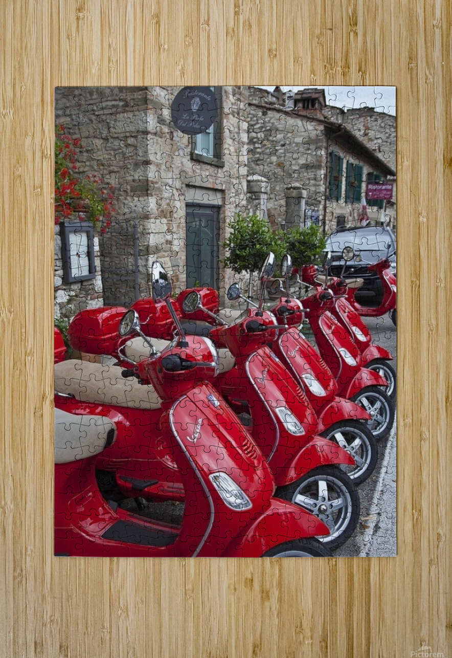 B356D0A8 4FB1 4EF4 AA2E F477C5A218B6 Leanardo dafinshi Puzzle printing