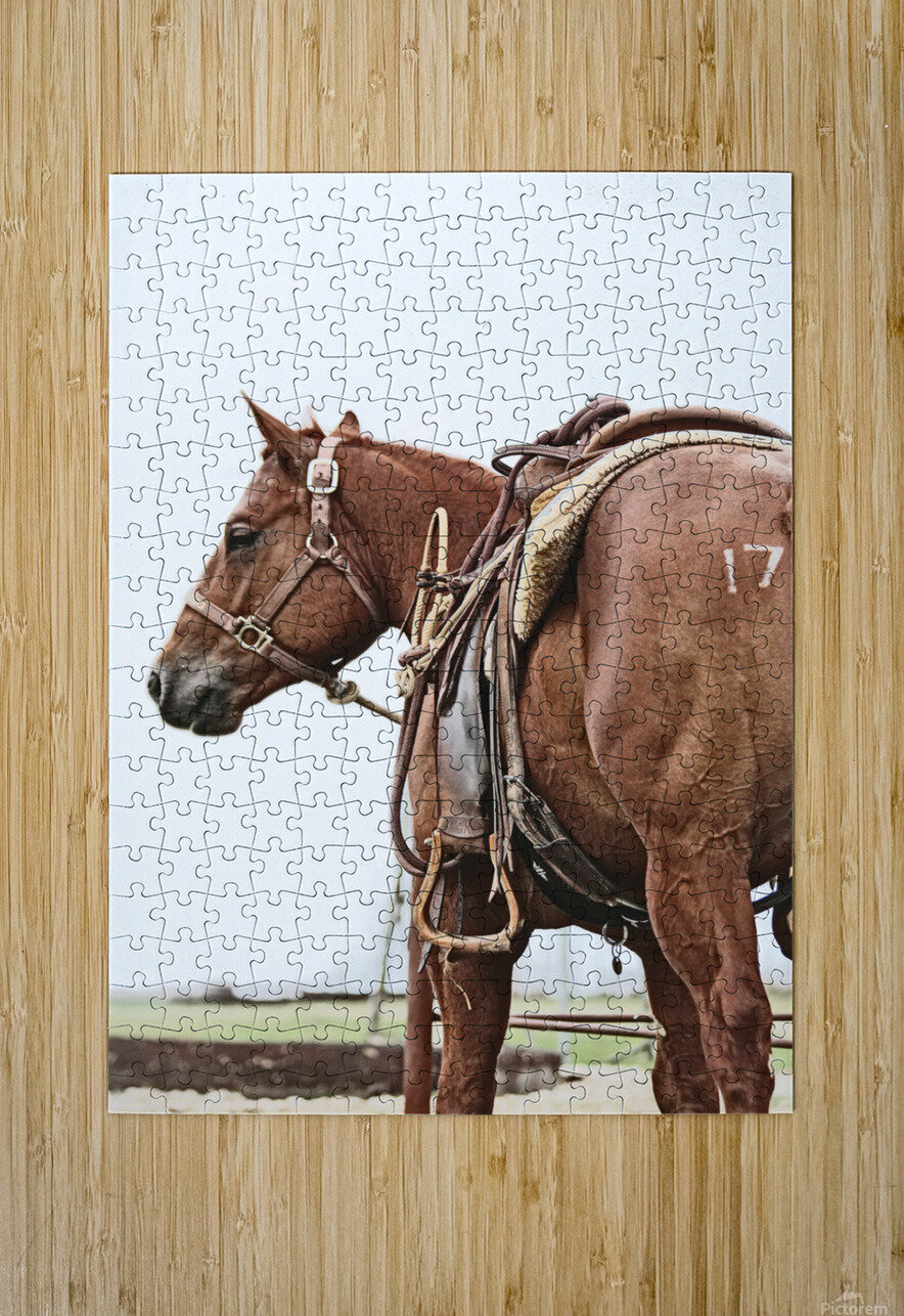 Cowhorse II Cat van Kay Puzzle printing