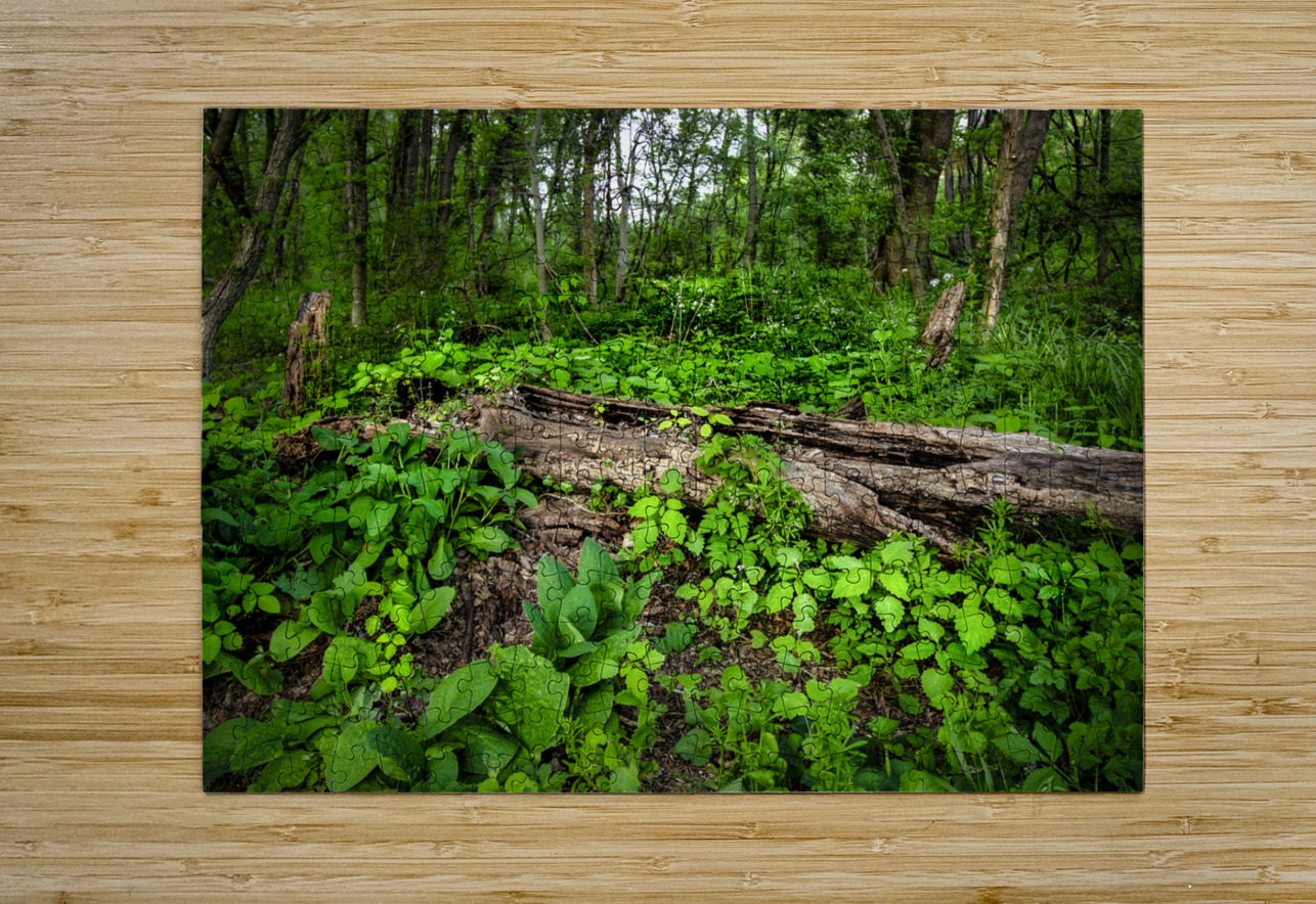Appalachian Forest Shelia Hunt Photography Puzzle printing