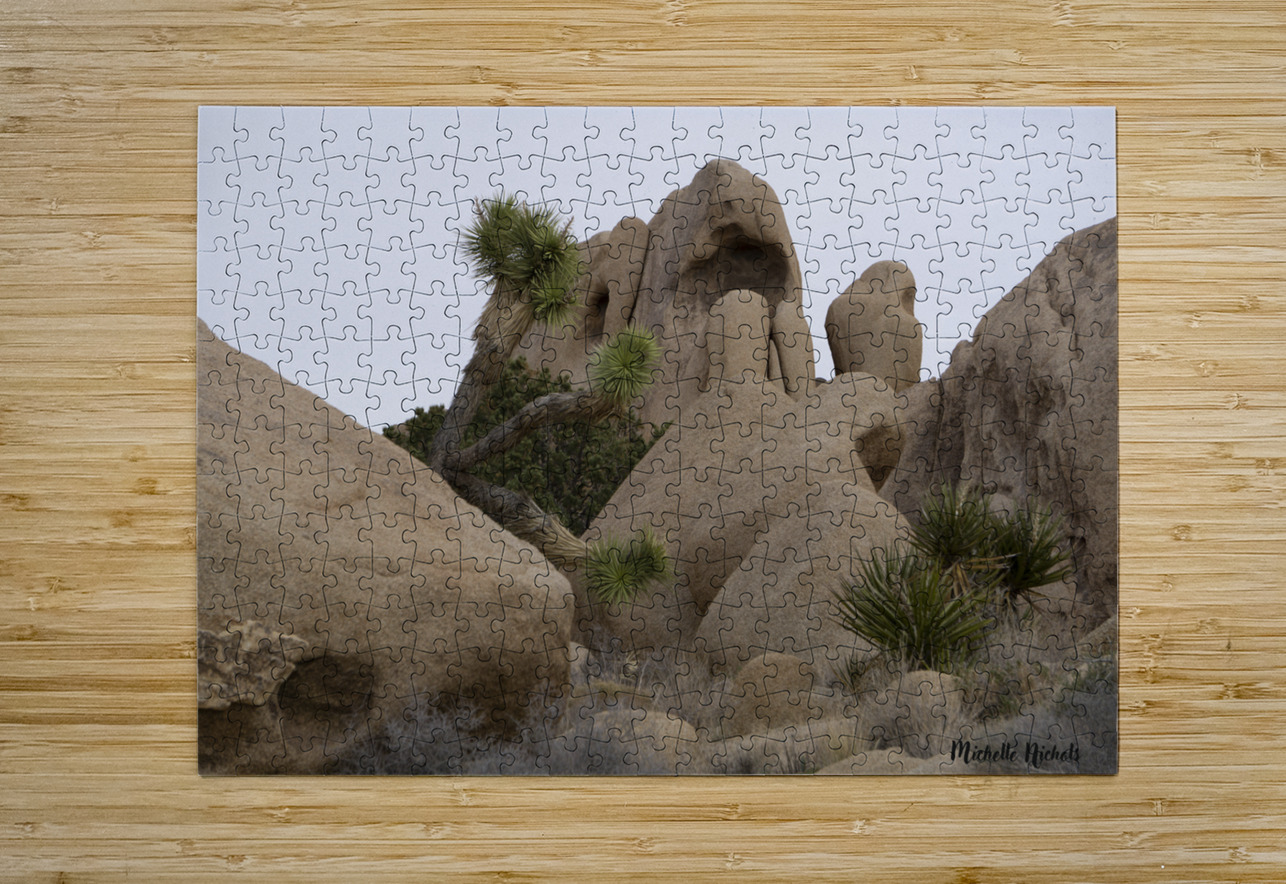 Joshua Tree Bolders Michelle Nichols Puzzle printing