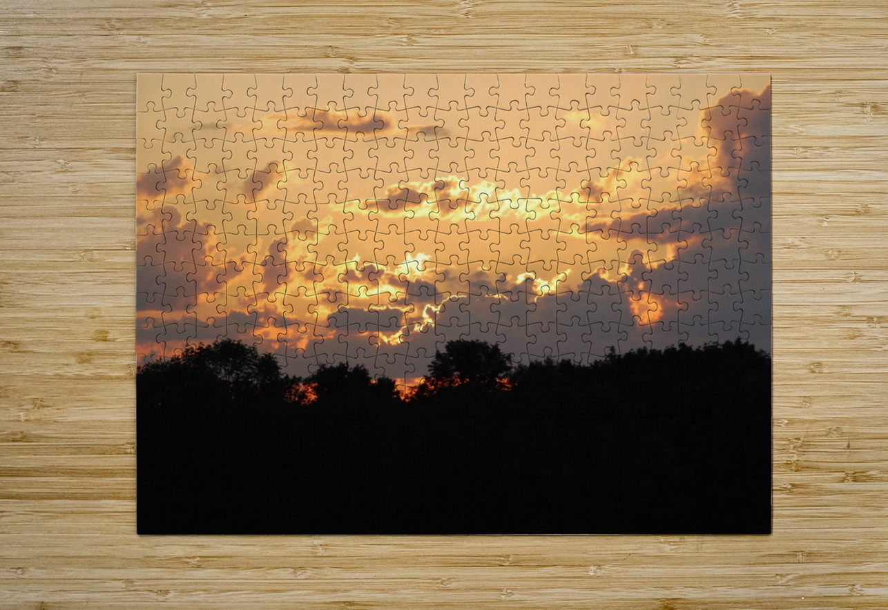 Chicagoland Speedway II WRR Puzzle printing