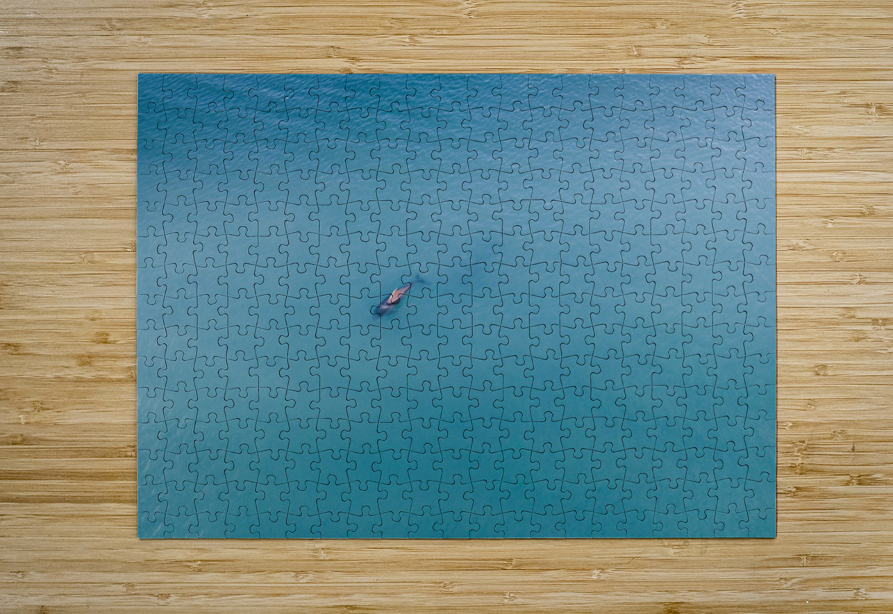 Doplhin Swim Coastal Palms Media Puzzle printing