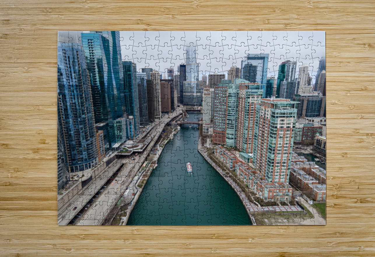 Chicago River Coastal Palms Media Puzzle printing