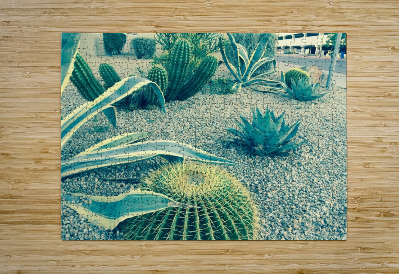Cactus Party WRR Puzzle printing