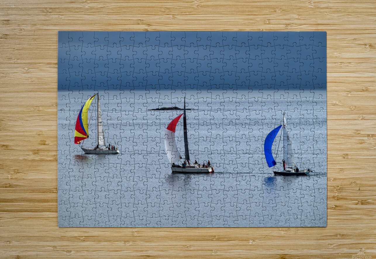  DSC9450 copy Jason Duncan Puzzle printing