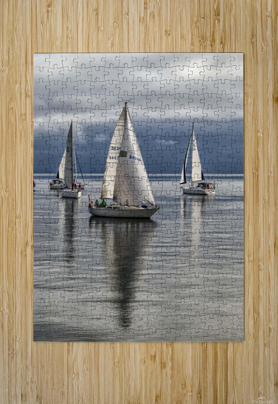  DSC8138 copy Jason Duncan Puzzle printing