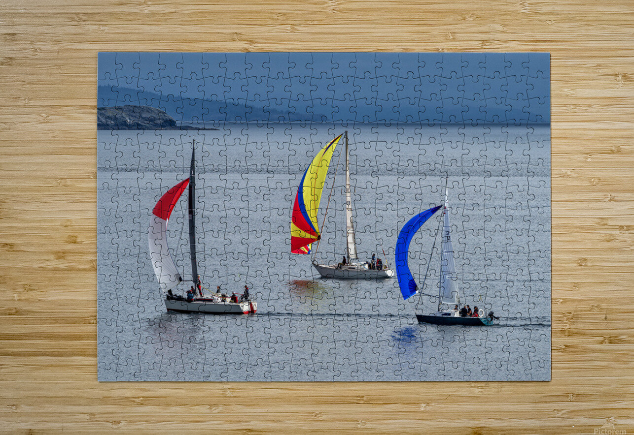  DSC9512 copy Jason Duncan Puzzle printing