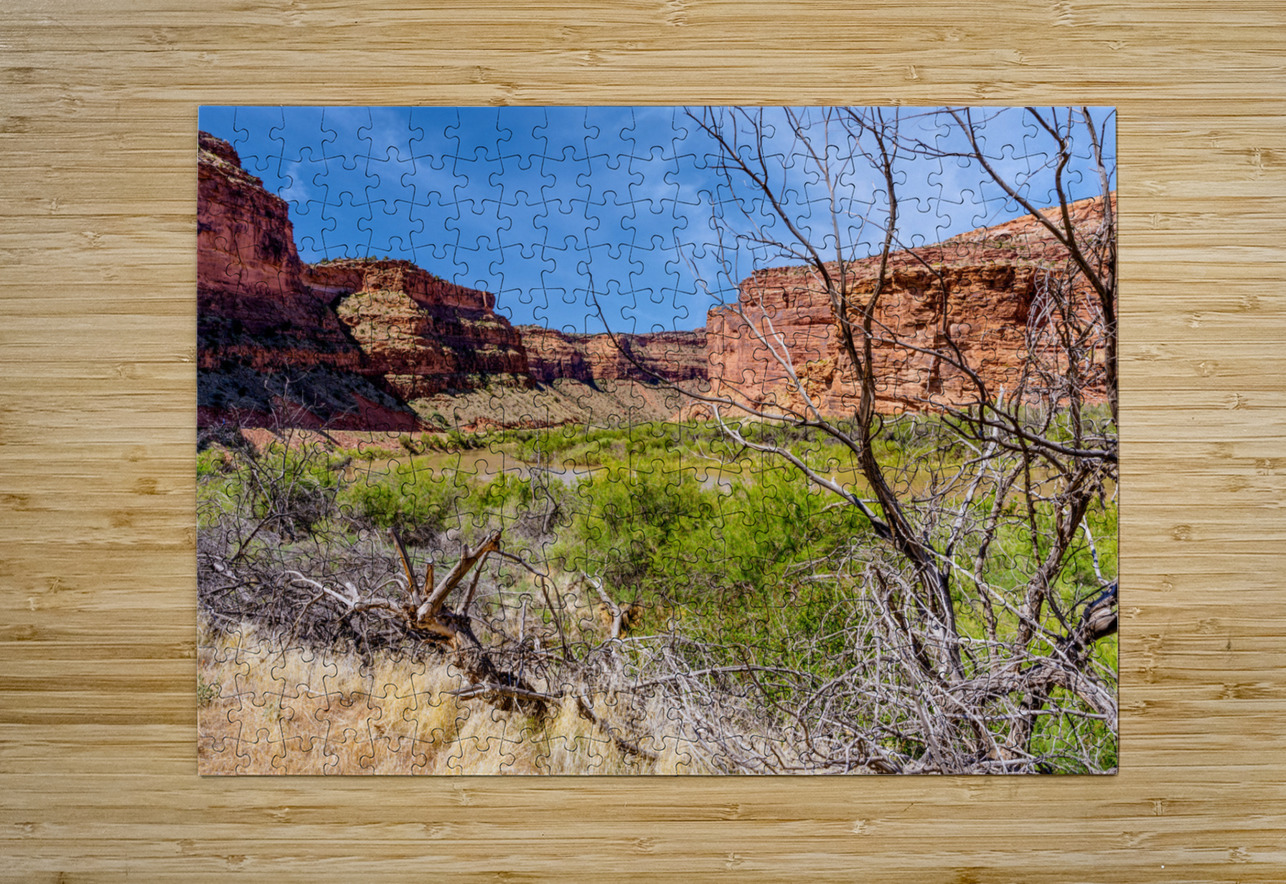 Dead Tree Colorado River Utah Jennifer White Puzzle printing